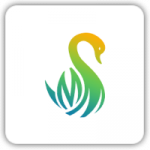 Mayank-Mohan-150x150