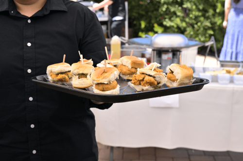 TiE 2025 Annual Family Picnic -100 1