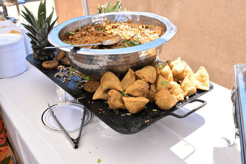 TiE 2025 Annual Family Picnic -104 1