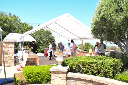 TiE 2025 Annual Family Picnic -33 1 (1)