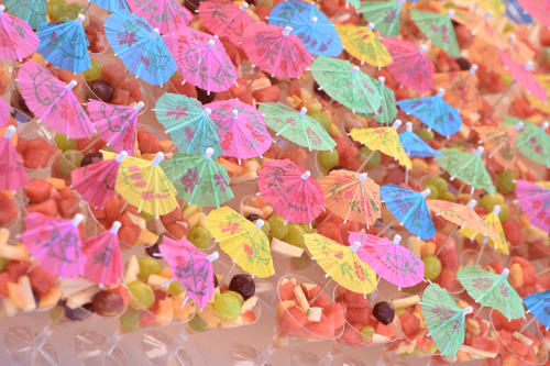 TiE 2025 Annual Family Picnic -58 1